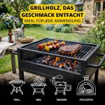 Buchen-Brennholz (300 kg) – Kammergetrocknetes Hartholz – Scheitlänge 25 cm – 10er-Set à 30 kg – Perfekt für Grill, Pizzaofen, Smoker & Kamin – Bild 3