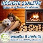 Reines Birken-Brennholz – Kammergetrocknet – Scheitlänge 25 cm – 1,8 RM auf Palette – Ideal für Kamin, Ofen & Werkstatt – Made in Germany – Bild 2