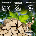 Buchen-Brennholz (300 kg) – Kammergetrocknetes Hartholz – Scheitlänge 25 cm – 10er-Set à 30 kg – Perfekt für Grill, Pizzaofen, Smoker & Kamin – Bild 7